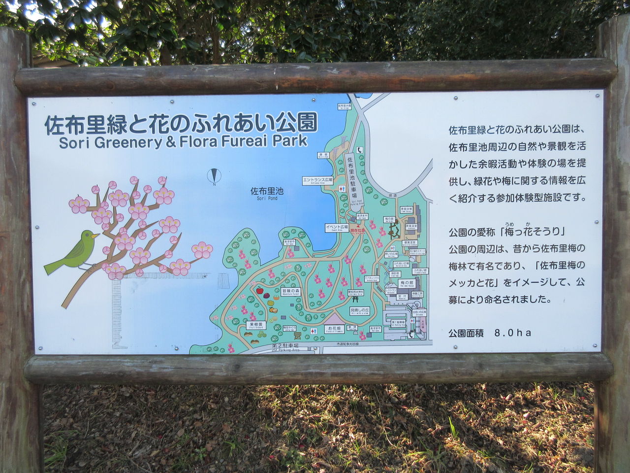 佐布里緑と花のふれあい公園 を散策 Diy Heaven