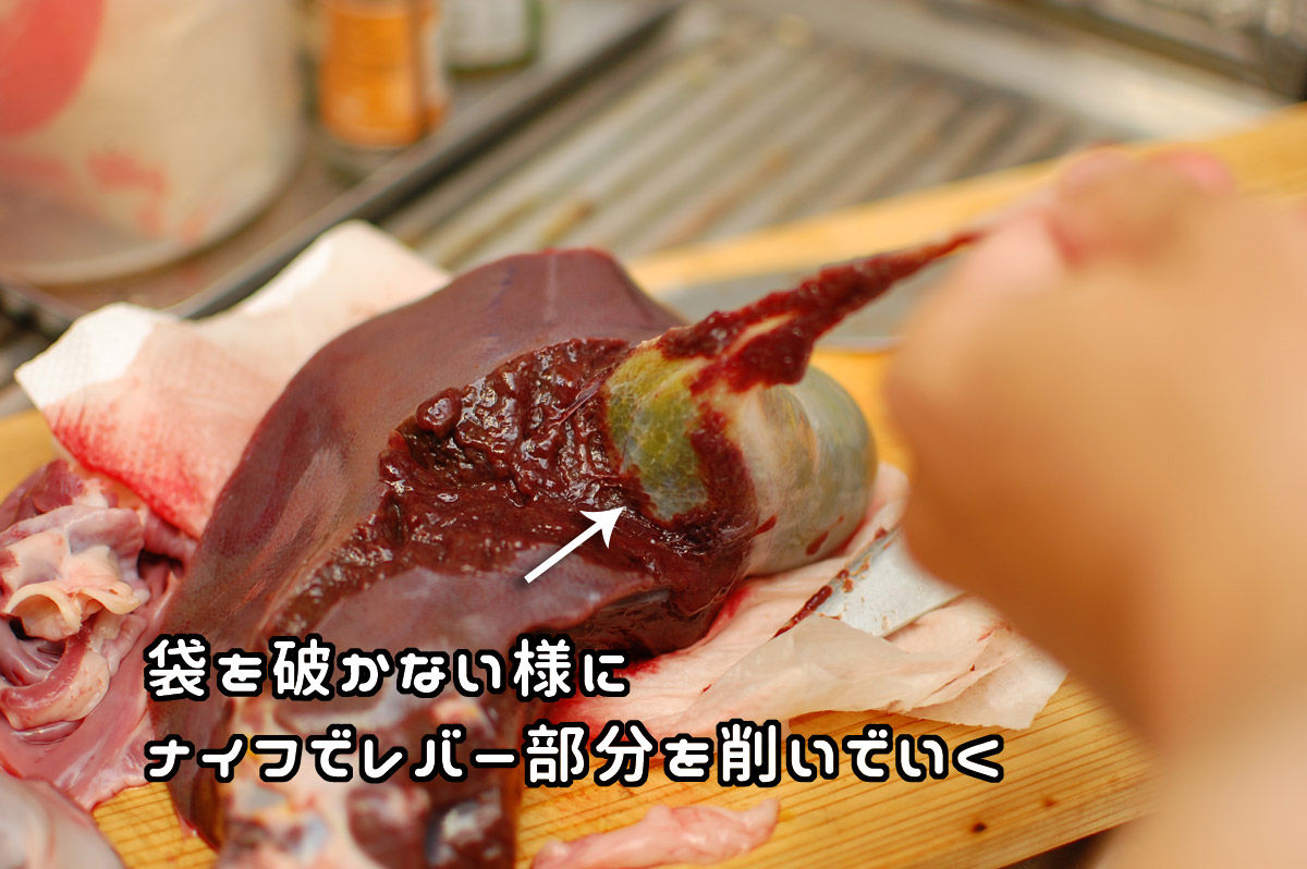 熊のたんのう 熊 ② 21g