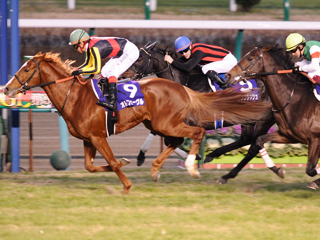 オルフェーヴル強すぎワロタｗｗｗｗｗｗｗｗｗｗｗ 良芝ch 競馬まとめブログ