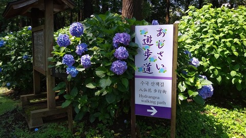 IMG_20200620_094526440