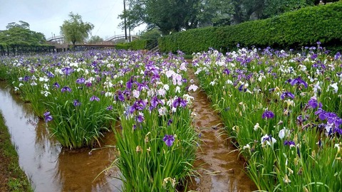IMG_20200613_102548130_HDR