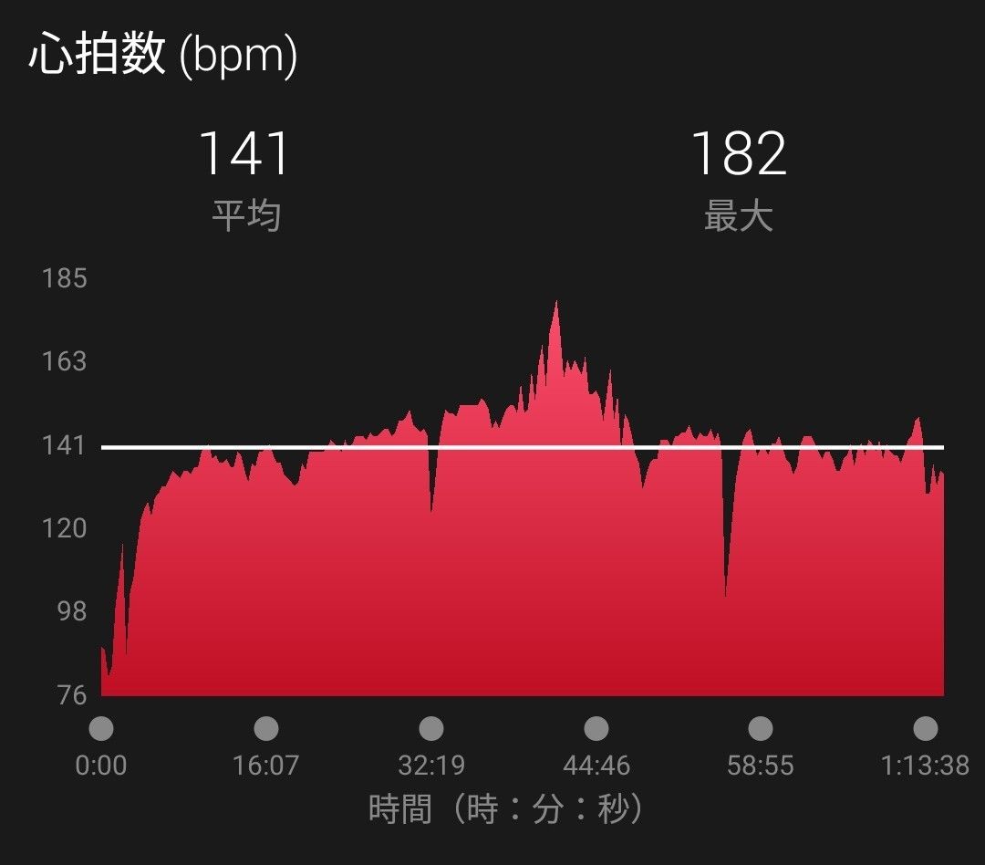 脂肪燃焼心拍ゾーンを維持せよ 懸垂ランナーのブログ 脂肪燃焼心拍ゾーンを維持せよ 懸垂ランナーのブログ
