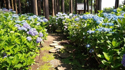 IMG_20200620_092057714