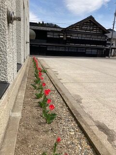 IMG_0551