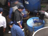 タイマー