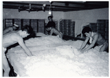 img-506125253
