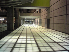 国際フォーラム1