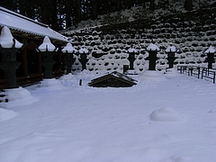 雪に埋もれてます。