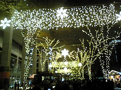 国際フォーラムイルミ3