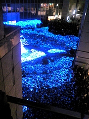 BLUE OCEAN 5