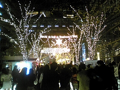 国際フォーラムイルミ1