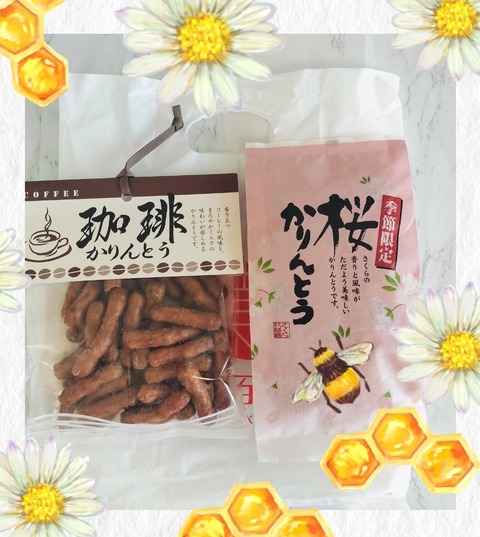 Collage_2025-02-24_20_16_06~2