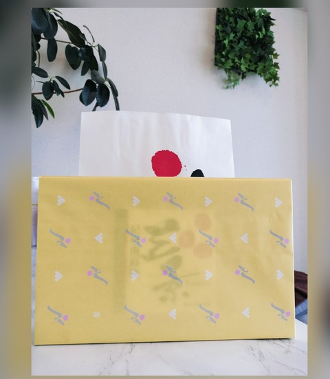 Collage_2024-11-24_22_43_52~2