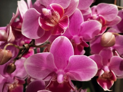 IMG20201116165959