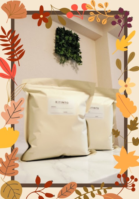 Collage_2024-11-26_22_16_17~2