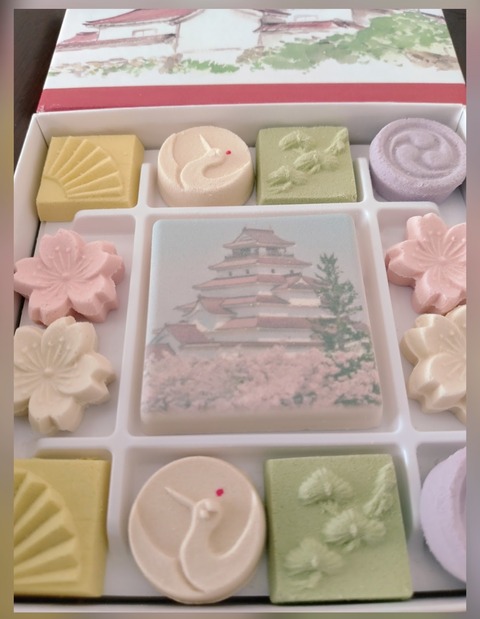 Collage_2023-09-21_20_42_46~2