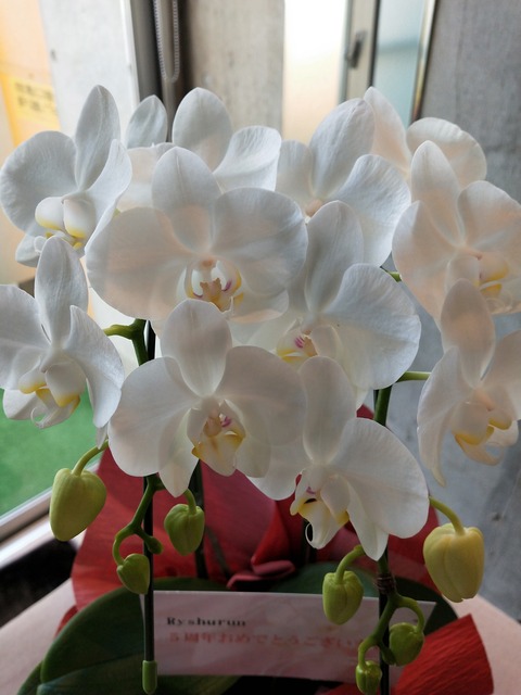 IMG20191101105229