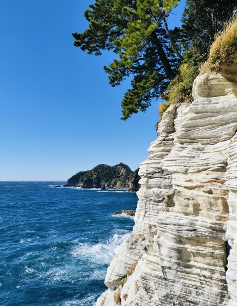 Collage_2024-12-31_20_02_37~2