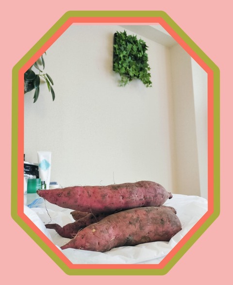 Collage_2025-10-07_13_30_42~2