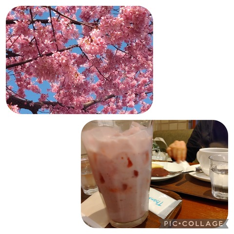 Collage 2022-03-19 18_42_06