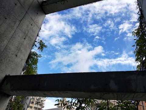 IMG20191022131335