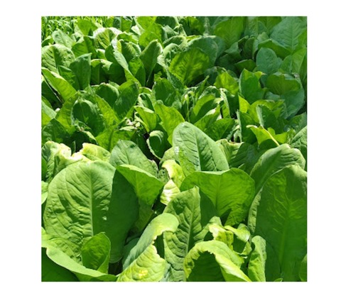 Collage 2022-05-23 23_11_10~2