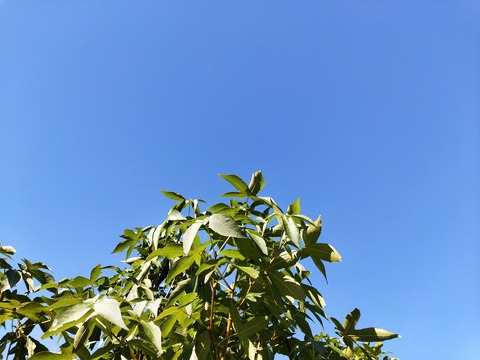 IMG20191013142356