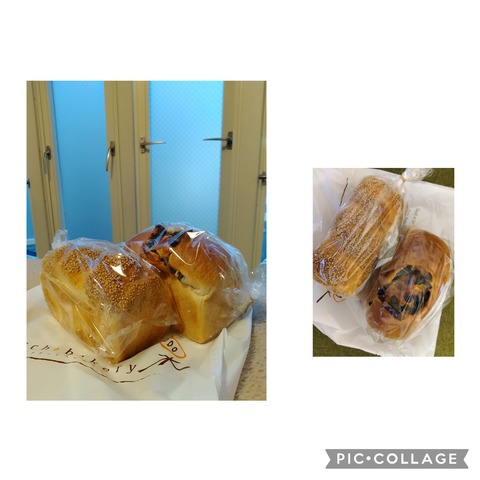 Collage 2022-03-26 20_56_45