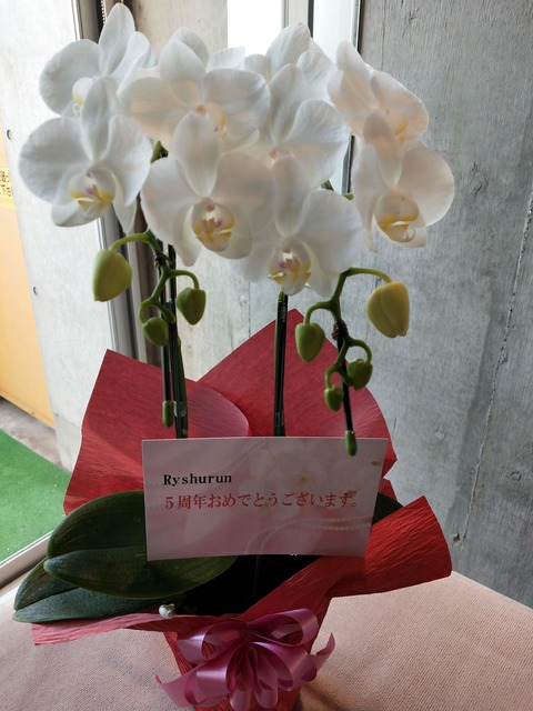 IMG20191101105220