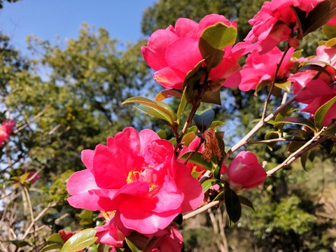 IMG20200103110658
