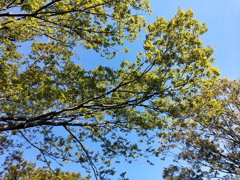 IMG20191023094645