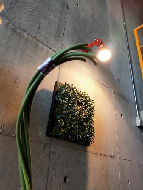 IMG20201016125602