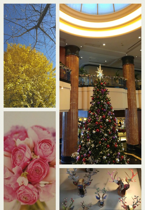 Collage 2017-12-25 11_11_46-1