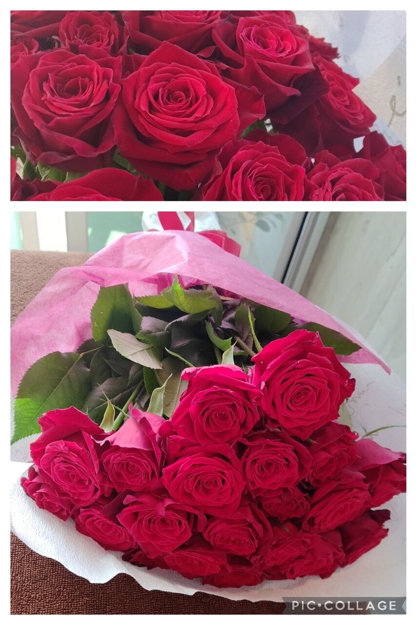 アマダの薔薇 リシュルンのblog