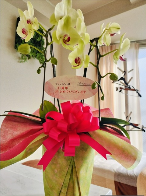 Collage_2025-11-06_20_18_01~2