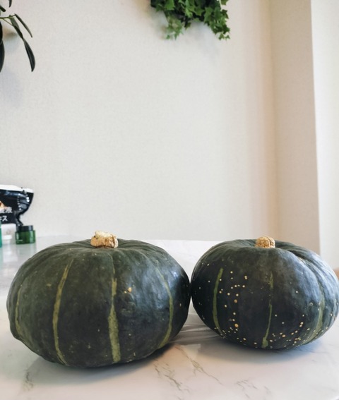 Collage_2025-09-23_16_14_13~2