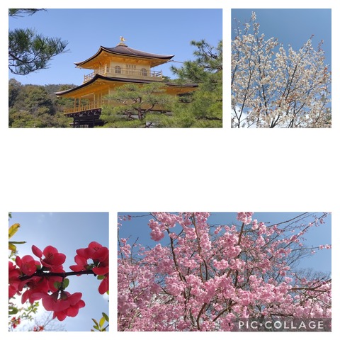 Collage_2023-04-13_18_46_36