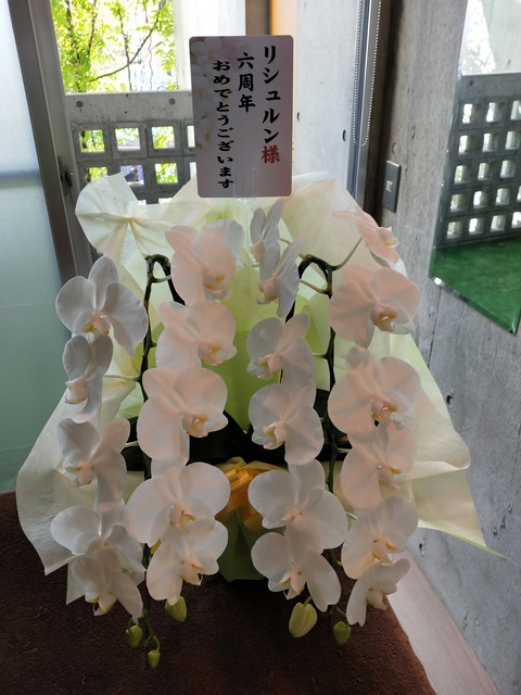 IMG20201105113152