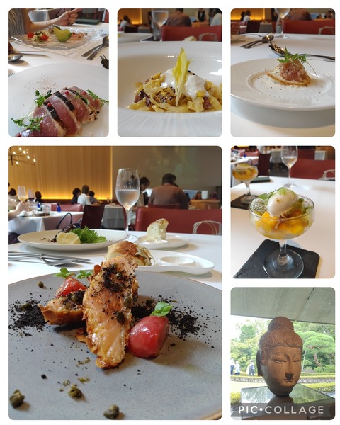 Collage_2023-07-27_17_49_13