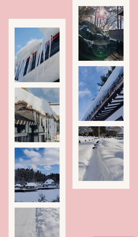 Collage_2026-02-19_18_21_00~2