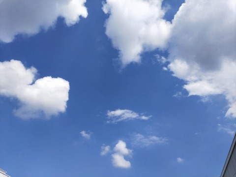IMG20210624143634