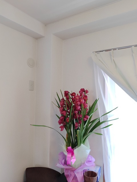 IMG_20220129_125549