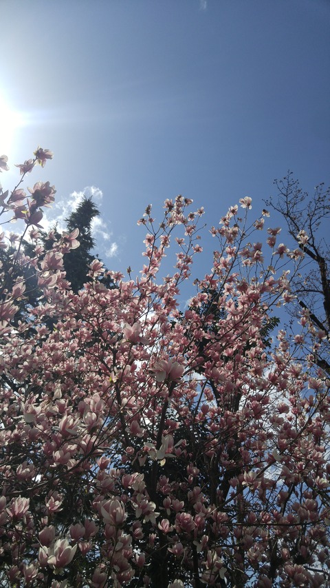 20180323_125544