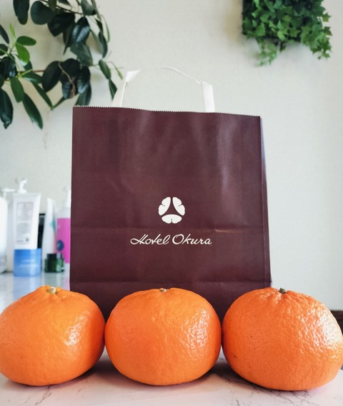 Collage_2026-02-24_11_17_34~2