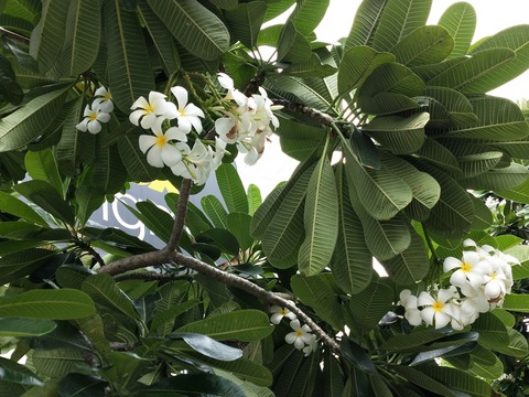 IMG20190805155527
