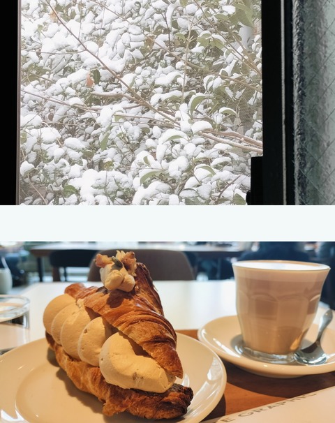 Collage_2026-02-08_21_16_39~2