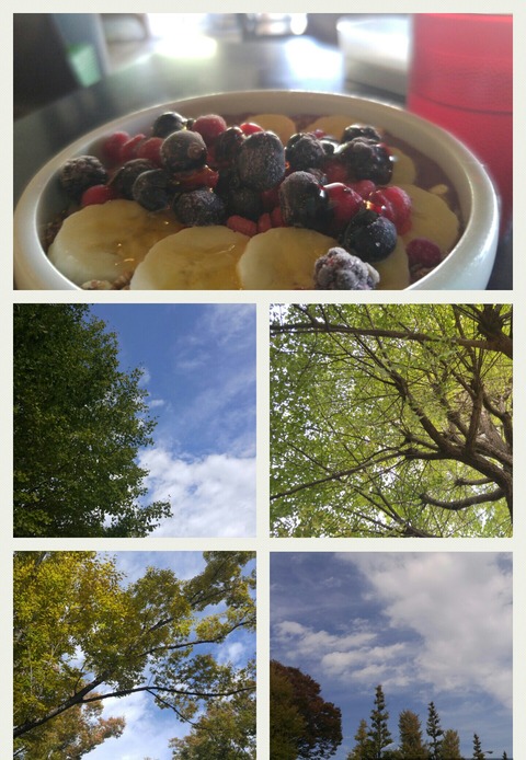 Collage 2018-10-25 13_06_56-1