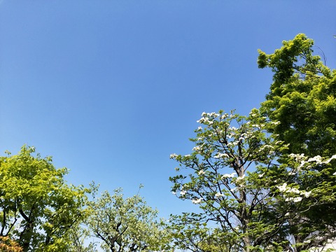 IMG20210407132902