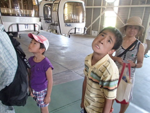 P8030083