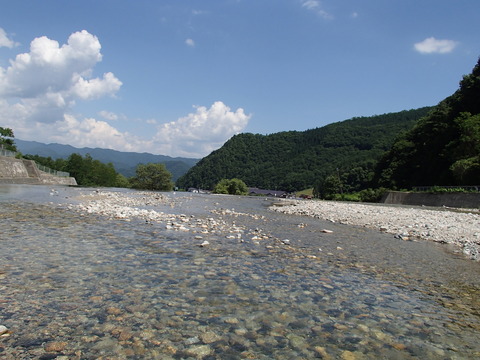 P8020048